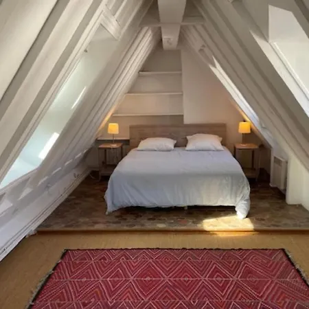 Duplex De Charme Au Coeur Du Marais *